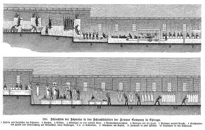 アーマーカンパニーズブタ屠殺場、シカゴ、イリノイ、米国、1895 作： Unbekannt