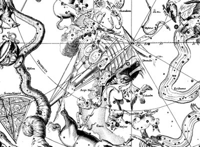 1742年にアルゴネイビスの南方の星座を中心とした天文地図 作： Unbekannt