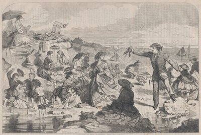田舎の8月 - シーショアハーパーズウィークリー、Vol。 III、1859 年 8 月 27 日。 作： Unbekannt