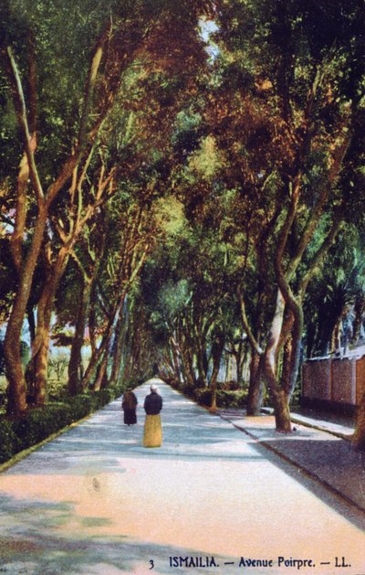ポイプレ通り、エジプト、イスマイリア、c1900 作： Unbekannt