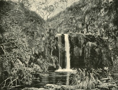 バッククリーク滝、ビクトリア州ブチャン川、1901年。 作： Unbekannt