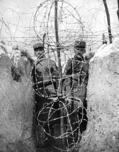 フランスの塹壕を囲む有刺鉄線、第一次世界大戦、1915 作： Unbekannt