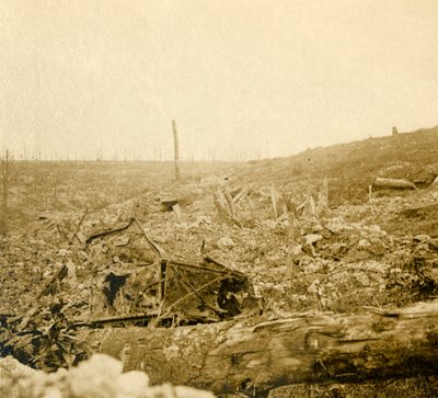 バトルフィールド、ブゾンヴォー、ヴェルダン、フランス北部、c1914-c1918 作： Unbekannt