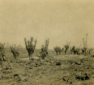 戦場、北フランス、モーレパス、c1914-c1918 作： Unbekannt