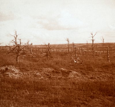 バトルフィールド、タフル、北フランス、c1914-c1918 作： Unbekannt