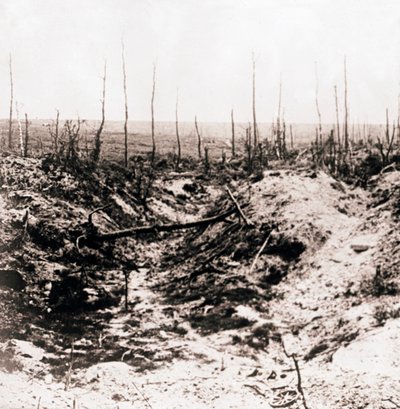 バトルフィールド、c1914-c1918 作： Unbekannt