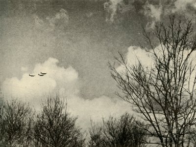 1939年から1940年、1941年の電撃戦での戦闘 作： Unbekannt
