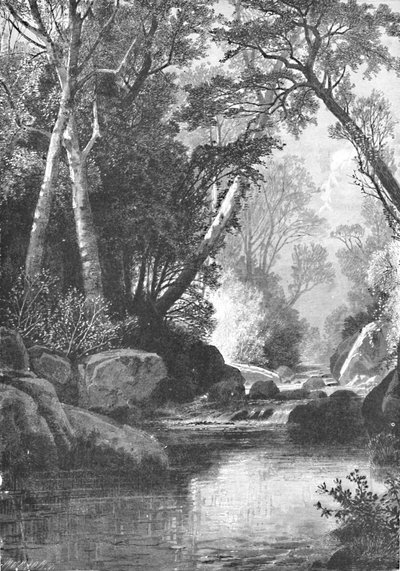 メイン州ベセル近郊のベアリバー、1883年 作： Unbekannt