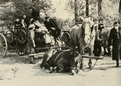 ベルギーの難民の道、1939-1940、1941年。 作： Unbekannt