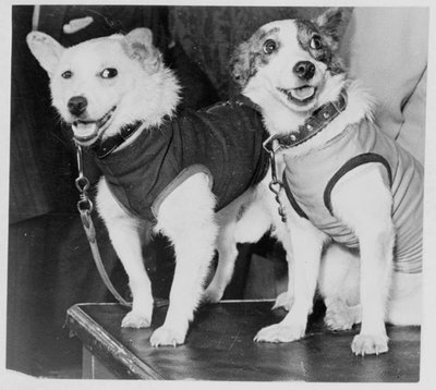 ベルカとストレルカ、ロシアの宇宙飛行士の犬、1960年 作： Unbekannt