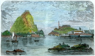 バミューダ、c1880 作： Unbekannt