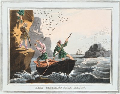 下から鳥を捕まえる、シェトランド諸島、1813 作： Unbekannt