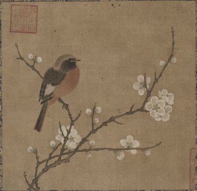 開花枝の鳥、1100年代。 作： Unbekannt