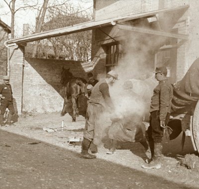 鍛冶屋の蹄鉄を打つ馬、スイス、北フランス、c1914-c1918 作： Unbekannt
