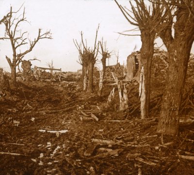 発破された風景、ベロイアンサンテール、フランス北部、c1914-c1918 作： Unbekannt