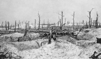 ブラスト木の切り株、メニル、シャンパン、フランス、第一次世界大戦、1915 作： Unbekannt
