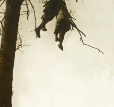 木の体、ボワダヴォクール、ヴェルダン、フランス北部、c1914-c1918。 作： Unbekannt