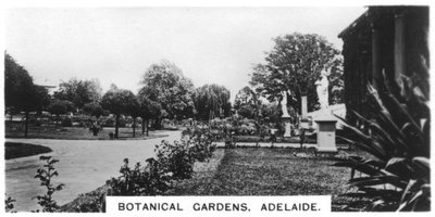 植物園、アデレード、オーストラリア、1928 作： Unbekannt