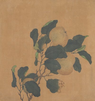 フルーツの木の枝。 作： Unbekannt