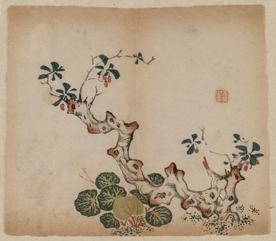 分岐の切り株、1368-1644。 作： Unbekannt