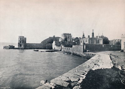 ブランクシー島-城の概観、1895 作： Unbekannt