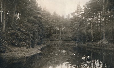 地味な中国と湖、c1910 作： Unbekannt