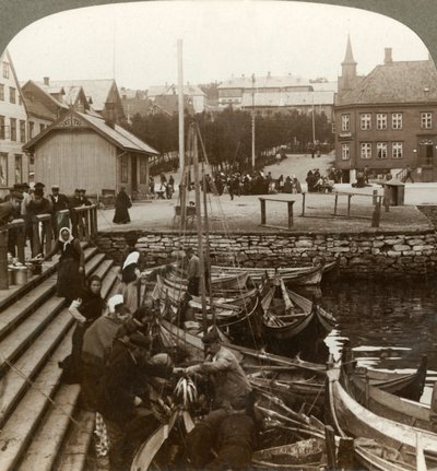 忙しい北極圏の貿易港であるトロムソー69°38 N. Lat。、ノルウェー北部、1902年に魚を買う。 作： Unbekannt