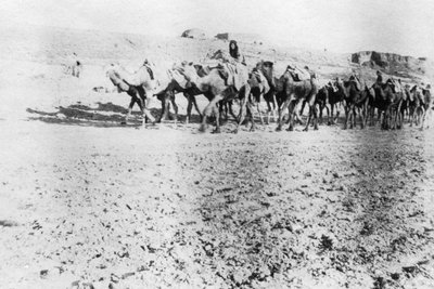 キャメルトレイン、モスル、メソポタミア、1918年 作： Unbekannt
