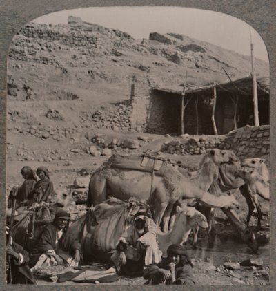 エリシャの噴水で水をまくジェラシュからのラクダ列車、c1900 作： Unbekannt