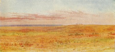 カナダの大草原、1924 作： Unbekannt