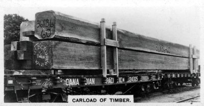 ダグラスファーの積荷、カナダ、c1920s 作： Unbekannt