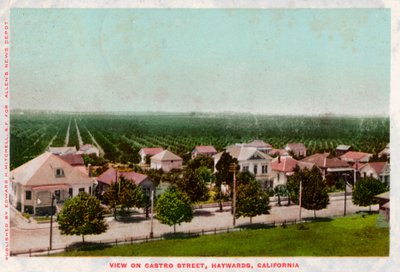 カストロストリート、ヘイワード、カリフォルニア、1905 作： Unbekannt