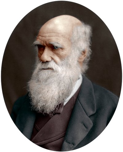 チャールズダーウィン、イギリスの博物学者、1878年 作： Unbekannt