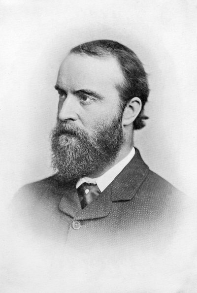 チャールズスチュアートパーネル、19世紀のアイルランド政治家、c1874-1891 作： Unbekannt