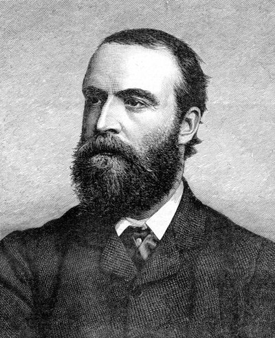 チャールズスチュアートパーネル、19世紀のアイルランド政治家、c1874-1891 作： Unbekannt