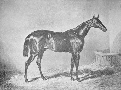 チャールズXII、聖レジェ1839、1911年の勝者 作： Unbekannt