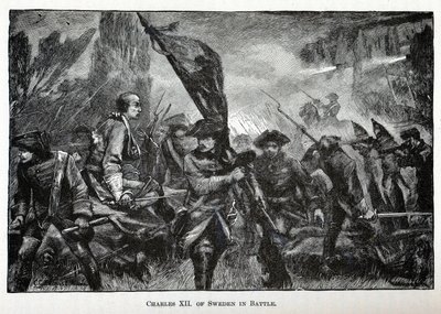 戦闘中のスウェーデンのシャルル12世、1882年 作： Unbekannt