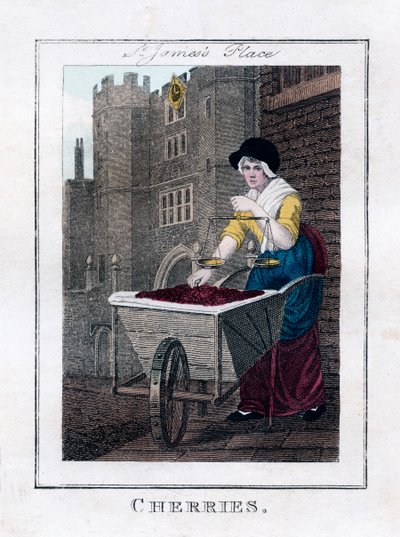 チェリー、セントジェームズパレス、ロンドン、1805 作： Unbekannt
