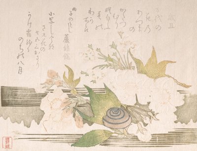 桜とカタツムリ、1816年。 作： Unbekannt