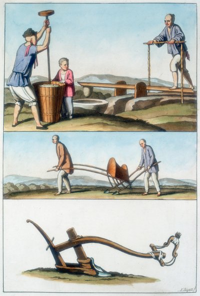 中国の農業、1825-1835 作： Unbekannt