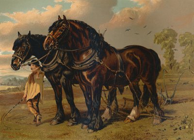 クライズデールスタリオン＆マーレ、c1879。 作： Unbekannt