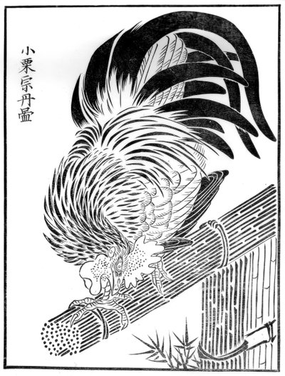 コック、15世紀1886 作： Unbekannt