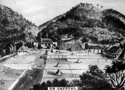 コーヒープランテーション、キューバ、1768年c1910 作： Unbekannt