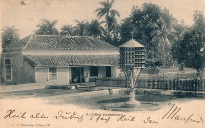 コーヒー農園、c1900 作： Unbekannt