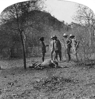 1900年代のタイガーハント、アフスルルマルク大佐 作： Unbekannt