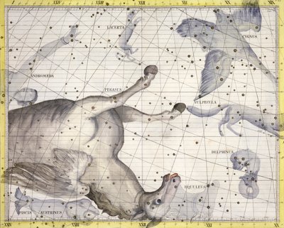 ペガサスの星座、1729年 作： Unbekannt
