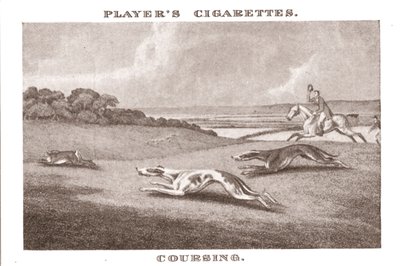 1924年、Coursing-11。 作： Unbekannt