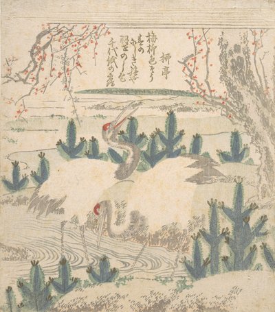 小川の近くの若い松の間のツル、カリフォルニア州。 1830年。 作： Unbekannt