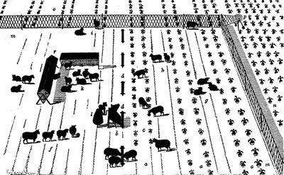 輪作：カブの休憩中の羊、1855年 作： Unbekannt