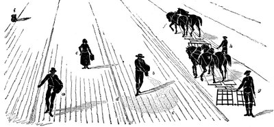輪作：トウモロコシの播種と収穫、1855年 作： Unbekannt